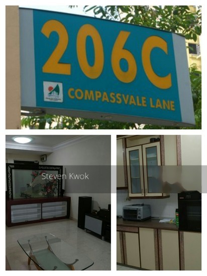 Blk 206C Compassvale Lane (Sengkang), HDB 5 Rooms #143393882